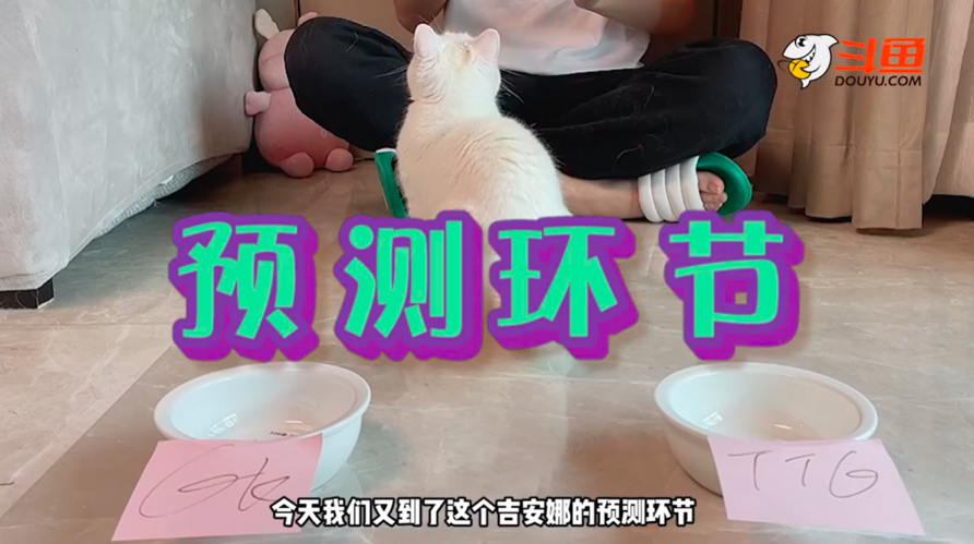 葛大爷的猫再度预测半决赛，GK、eStar荣获鲜奶