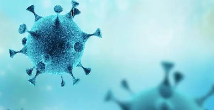 T1公司员工感染新冠，李哥或受影响