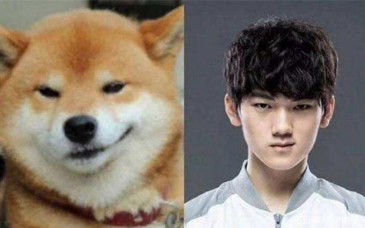 电竞女神Mayumi再次整活，宠物狗照片神似Jakceylove