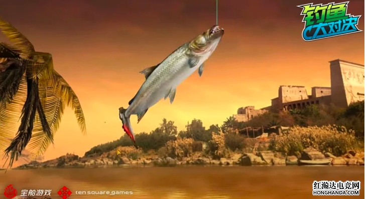《钓鱼大对决》：新渔场享受异域垂钓，神秘四鱼惊现尼罗河